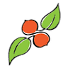 Persimmon Tree Realty
