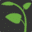 Perth Garden & Outdoor Living Festival