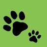 Pesky Paws Wildlife Control