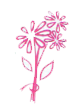 PETAL FRESH