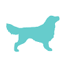 Pet Dermatology Clinic