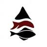 Petersburg Sportfishing