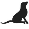 Pet Friendly Holiday Accommodation Coolum Beach