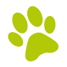 Pet Paradise Resort | Hotel / Day Care for Dogs