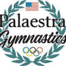 Palaestra Gymnastics Academy