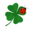 Clover Pharmacy