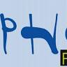 PHOENIX FOUNDATION