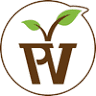 Phoenix Vine Plants & Pots