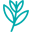 Burasari