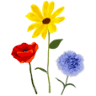 Picnic Les 3 Flors