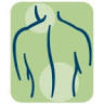 Piedmont Interventional Pain: Wilson II Robert B MD