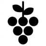 Piemonte Vinotek