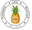 Pineapple Lain Boutique