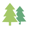 Pinecones Caravan & Camping