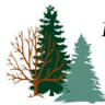 Pinecrest Nursery & Garden Center