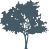 Pinedale Residential Center