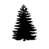 Wide Pine Flooring