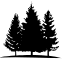 Pine Grove Twp Treasurer