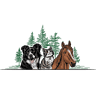 Pine Meadow Veterinary Hospital