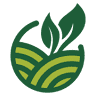 Pinnacle Consultants LLC
