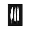 Pino Alto Restaurant