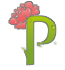 Інтернет-магазин квітів Pionita.com