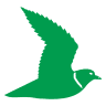 The Piping Plover: Cannabis Dispensary Cape Cod