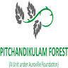 Pitchandikulam Forest