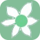 Magnoliya