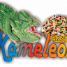 Kameleon Obiady Desery Ogródek Dowóz