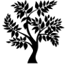 PJF Tax