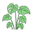 Plant Addicts Anonymous