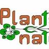 Planta naturalis