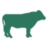 Plante Farm