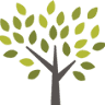 Plants Direct Queensland