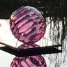 Bonhoeffer Botanical Gardens