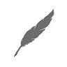 plumes d'ange