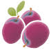 Plum Unlimited
