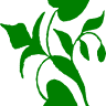 Plymouth Greene Dental