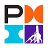 PMI Goiânia Goiás Chapter