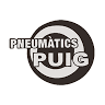 P I J Puig