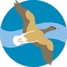 Niwka