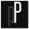 Polished Professionals
