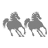 Orçamento – Poney Turismo