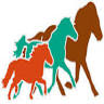 Ponywebwinkel.nl