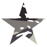 Pool Military Surplus LLC
