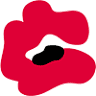 Poppy
