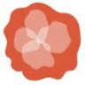 Poppy Boutique