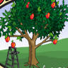 Porter's Orchard