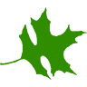Portland Foundation